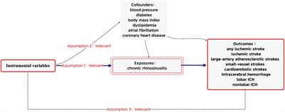 Genetically predicted chronic rhinosinusitis and the risk of stroke: a two-sample Mendelian randomization study